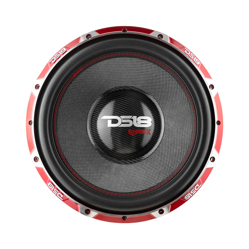 DS18 HOOLIGAN X 15" SPL SUBWOOFER 4000W RMS DUAL 1 OHM