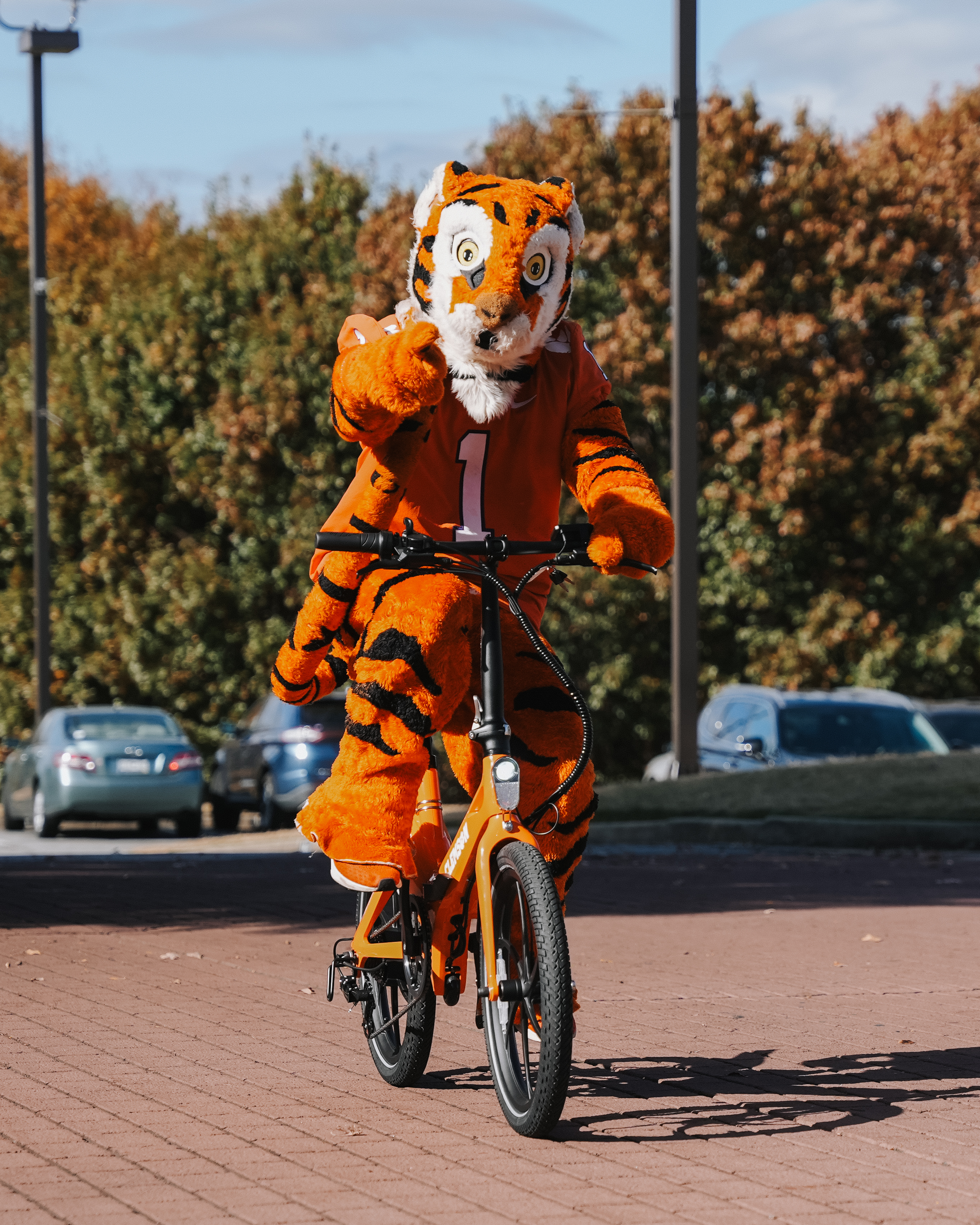 BLAUPUNKT - UNIVERSITY OF CLEMSON 500 E-BIKE - MAGNESIUM SINGLE DIE-CAST FOLDABLE FRAME BLAUPUNKT - UNIVERSITY OF CLEMSON 500 E-BIKE - MAGNESIUM SINGLE DIE-CAST FOLDABLE FRAME