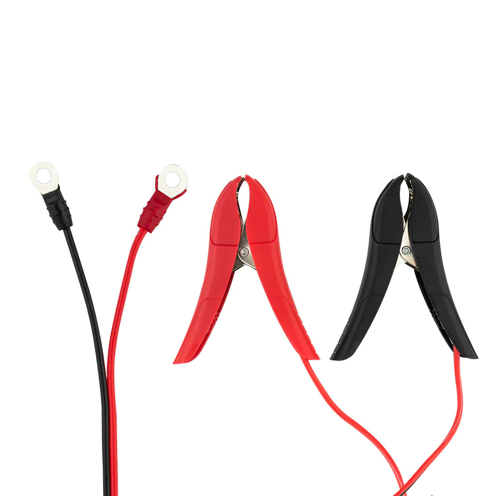 DS18 4 X 1.5 AMP Automatic Smart Lithium and AGM Battery Charger and Maintainer DS18 4 X 1.5 AMP Automatic Smart Lithium and AGM Battery Charger and Maintainer