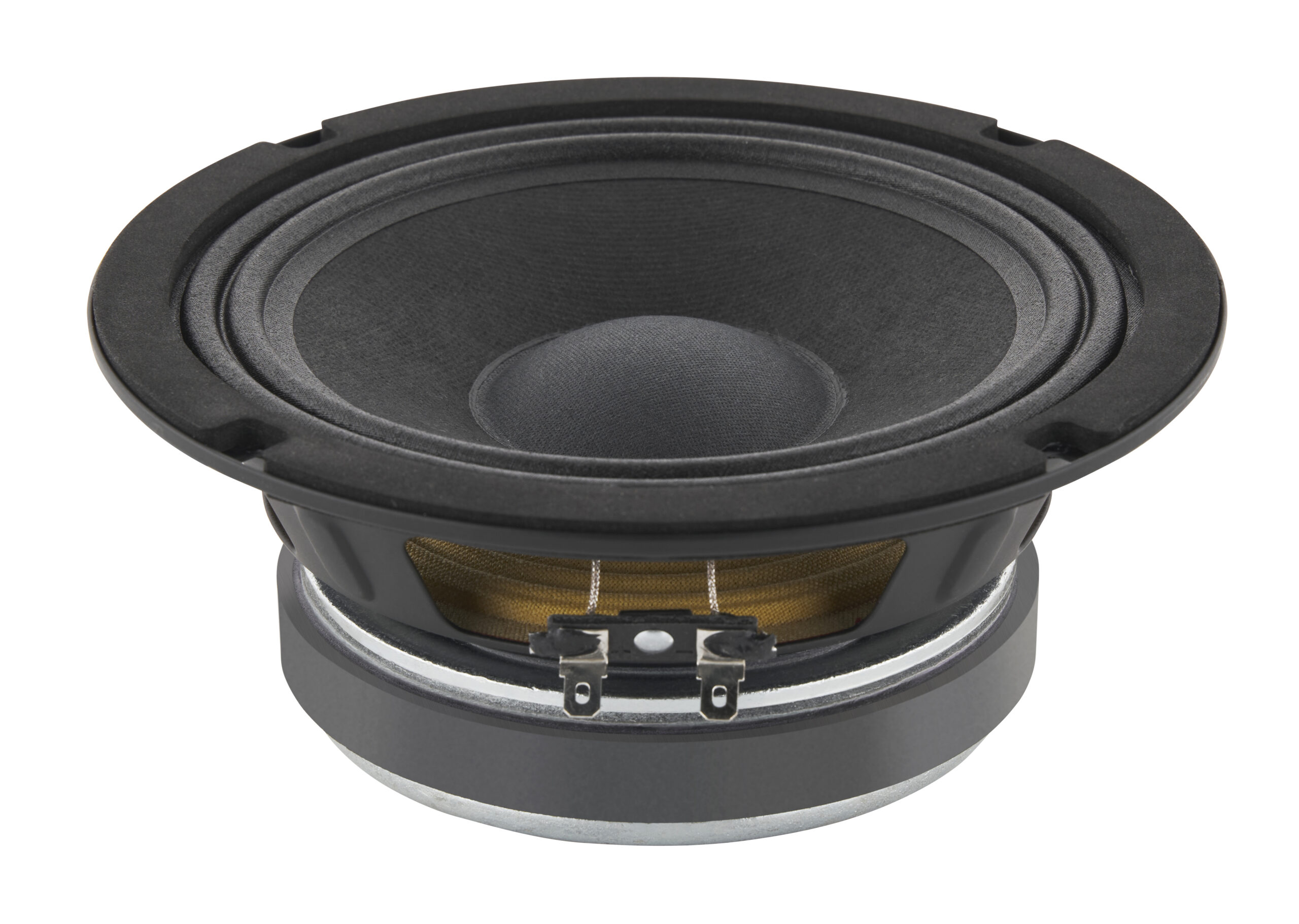 6-inch pressed steel chassis, ferrite magnet mid/bass driver