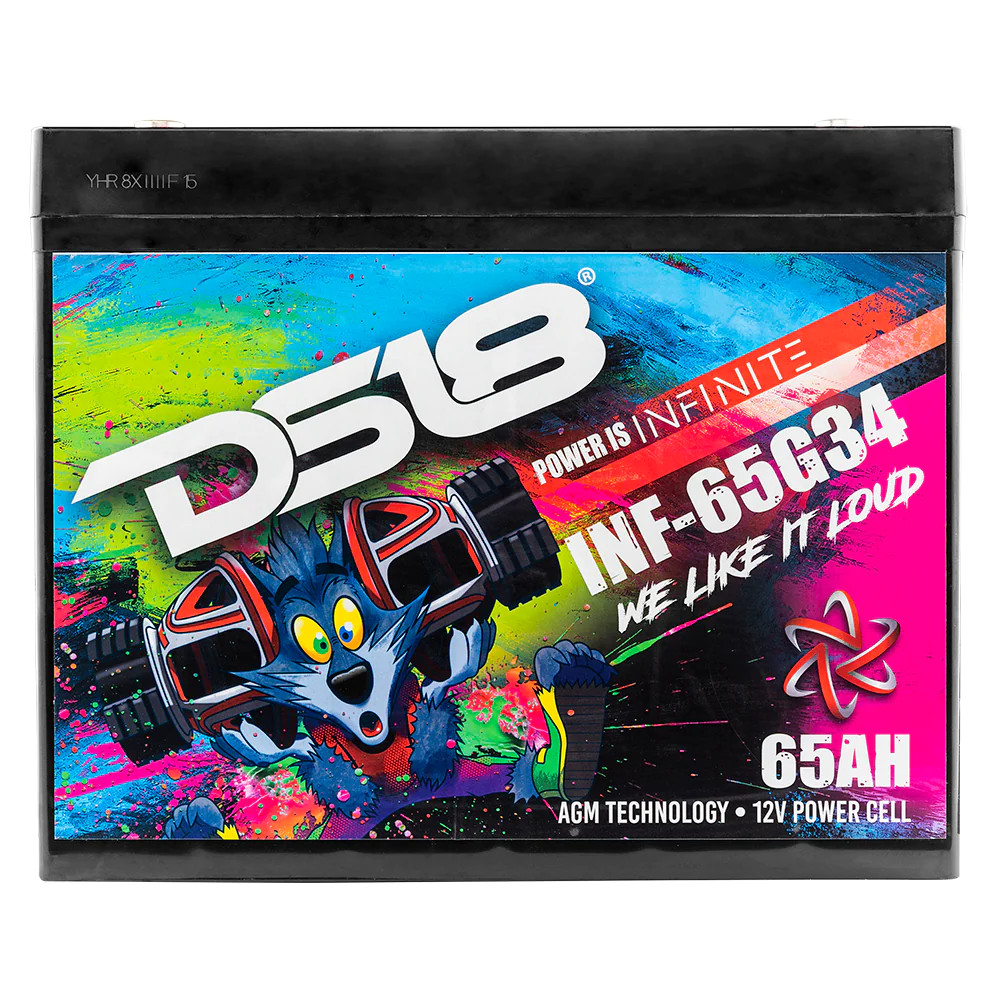 DS18 INFINITE 65AH GROUP 34 POWER CELL BATTERY
