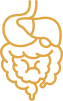 Digestive system icon