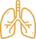 Respiratory system icon