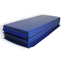 PRO MMA Folding Mat - 5' x 10' PRO MMA Folding Mat - 5' x 10'