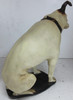 Nipper (RCA Dog) Plaster Statue 14" tall Vintage Circa 1950
