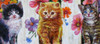 Lee Dublin-Three Kittens Wooden Fence-Original