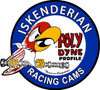 Iskenderian Racing Cams Polydyne Plasma