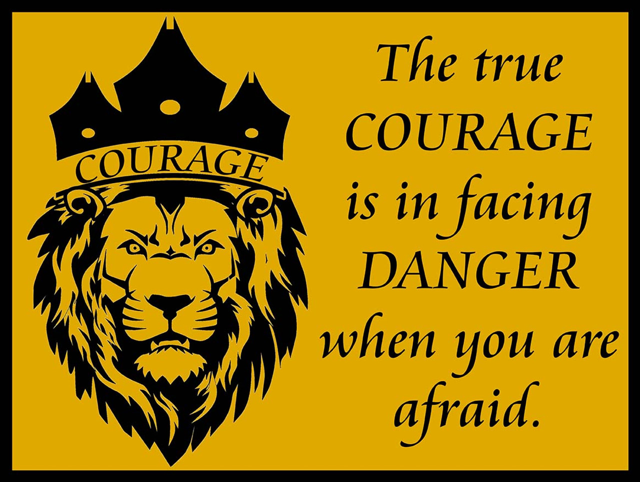 the wizard of oz lion quotes