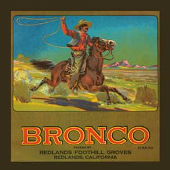 Bronco