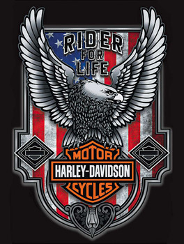 #4 Harley Davidson Motorcycle Metal Signs - Page 1 - American Collectibles