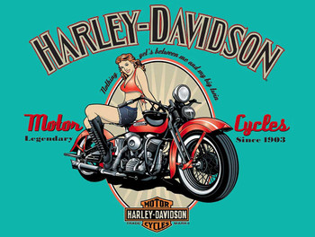 4 Harley Davidson Motorcycle Metal Signs - Page 1 - American