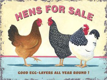 Hens For Sale Metal Sign