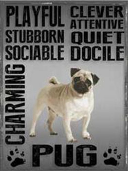 Pug 1