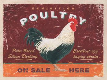 Poultry 1