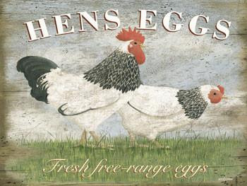 Hens Eggs