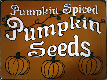 Pumpkin Seeds-Pumpkin Spiced Pumpkin Seeds-Pumpkin Spiced