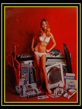 Shelby Bikini Cover Pinup RED Metal Sign