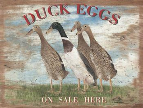 Duck Eggs Metal Sign