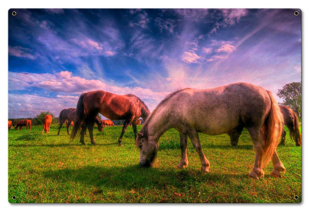 Wild Horses Grazing