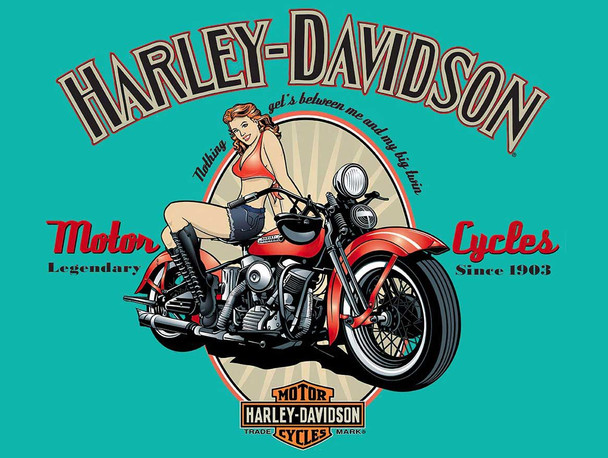 Legendary Motorcycles Since 1903 Harley Davidson Metal Sign