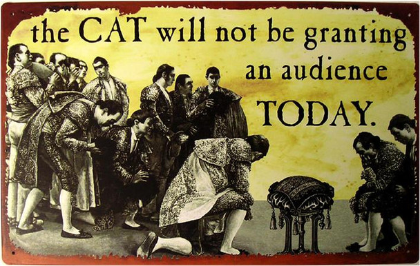 Cat Not Granting Audience Metal Sign