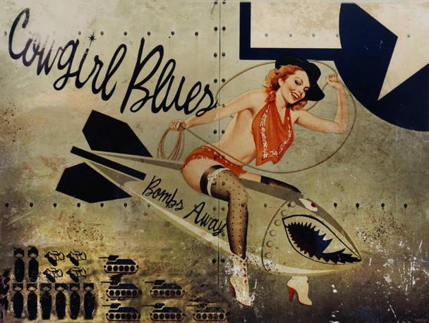 Cowgirl Blues Airplane Art Metal Sign