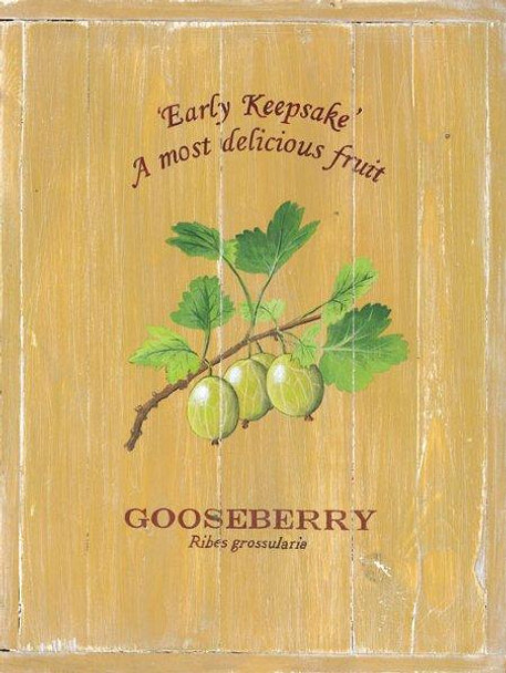 Gooseberry Metal Sign