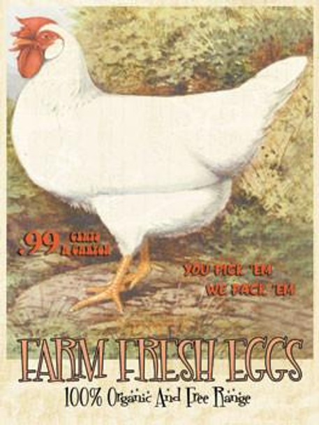 Farm Fresh Eggs