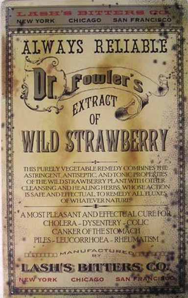 Dr. Fowler-Wild Strawberry