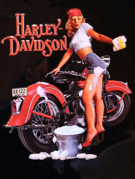 Wash Babe Harley Davidson Metal Sign