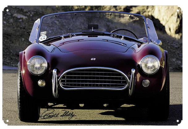 Carroll Shelby 20