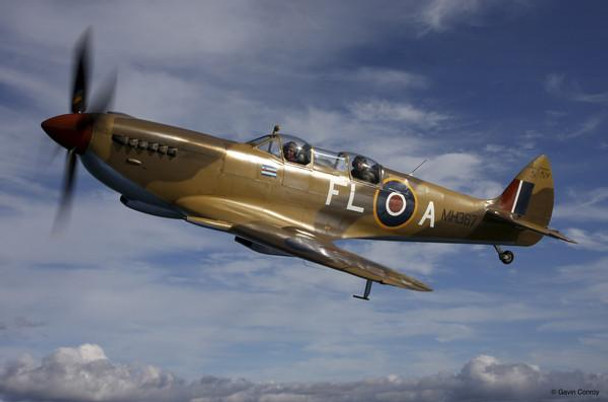 Spitfire FLA Airplane