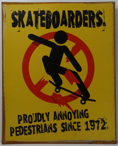 Skateboarders Metal Sign