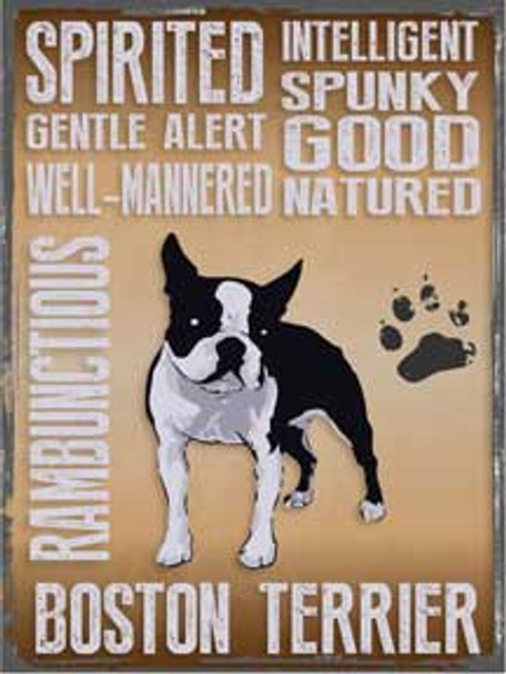 Boston Terrier Qualities