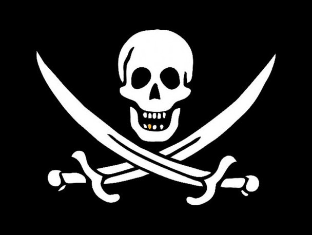 Jolly Roger Pirate Flag