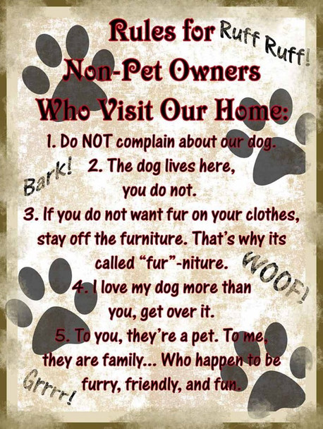 Rules for Non-Pet Owners Who Visit Our Home