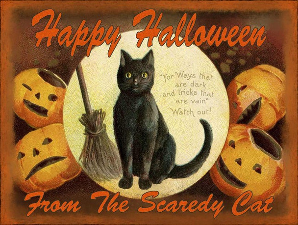 Black Cat Scaredy Cat Halloween Metal Sign