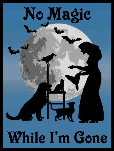 No Magic While I'm Gone Witch with Familiars