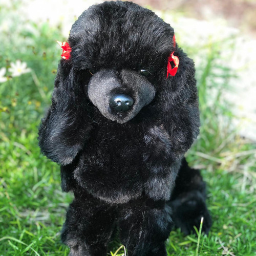 Auswella Plush Black Standard Poodle Bordeaux