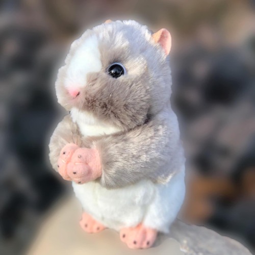 Meet Harvey: Your New Adorable Plush Hamster Companion