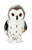 Hedwig the Snowy Owl
