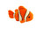 Mini 5 Inch Clown Fish