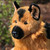 Colonel™ Plush German Shepherd Dog-Sold Out