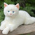 19" White Floppy Cat Bianca™