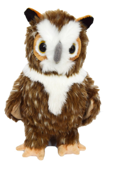 Elegant Great Horned Owl  Barnstable