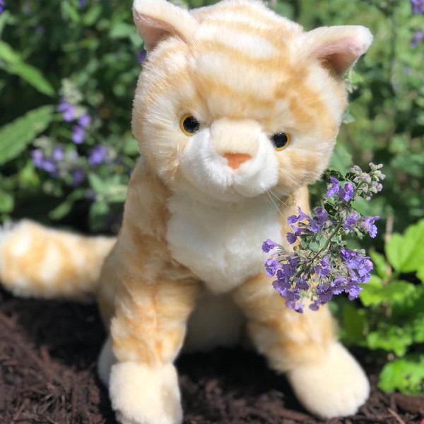 Meet Taffy: The Handmade Striped Orange Kitten Plushie!