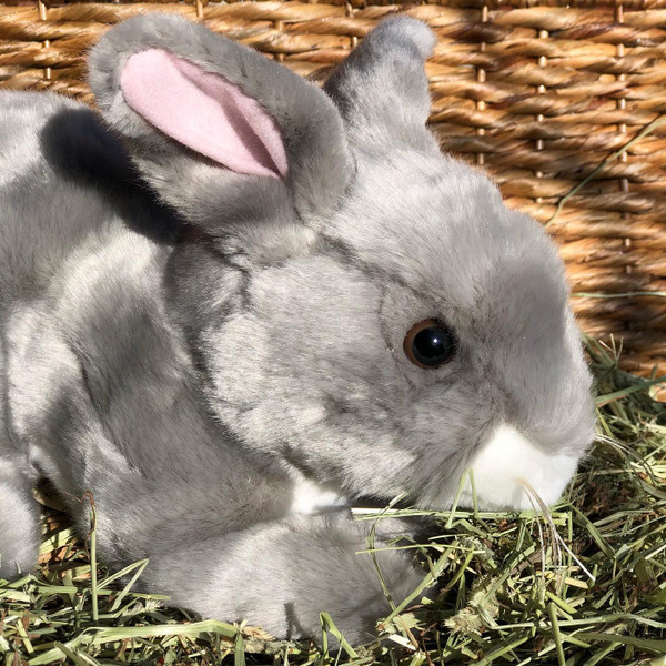 Blueberry Grey Bunny Rabbit - Coming Spring 2022