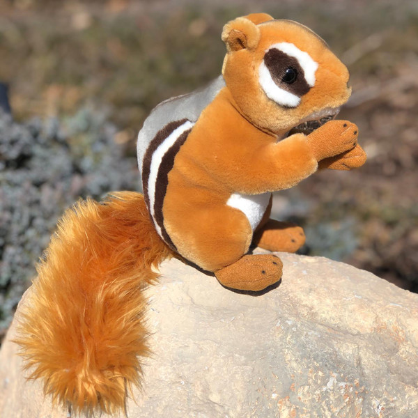 Meet Our Mini Chipmunk, Chipster™: The Perfect Cuddly Companion