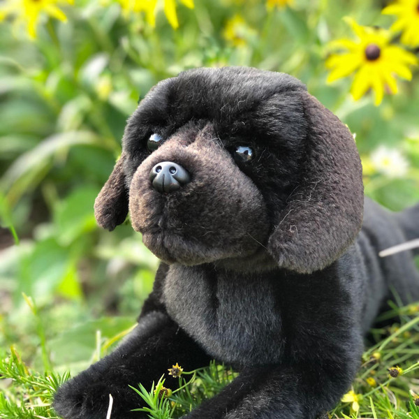 Plush Black Labrador,
labradors, labs, plush dogs