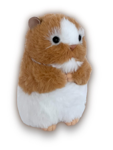 Meet Hadley: Your Charming Brown and White Syrian Hamster Companion